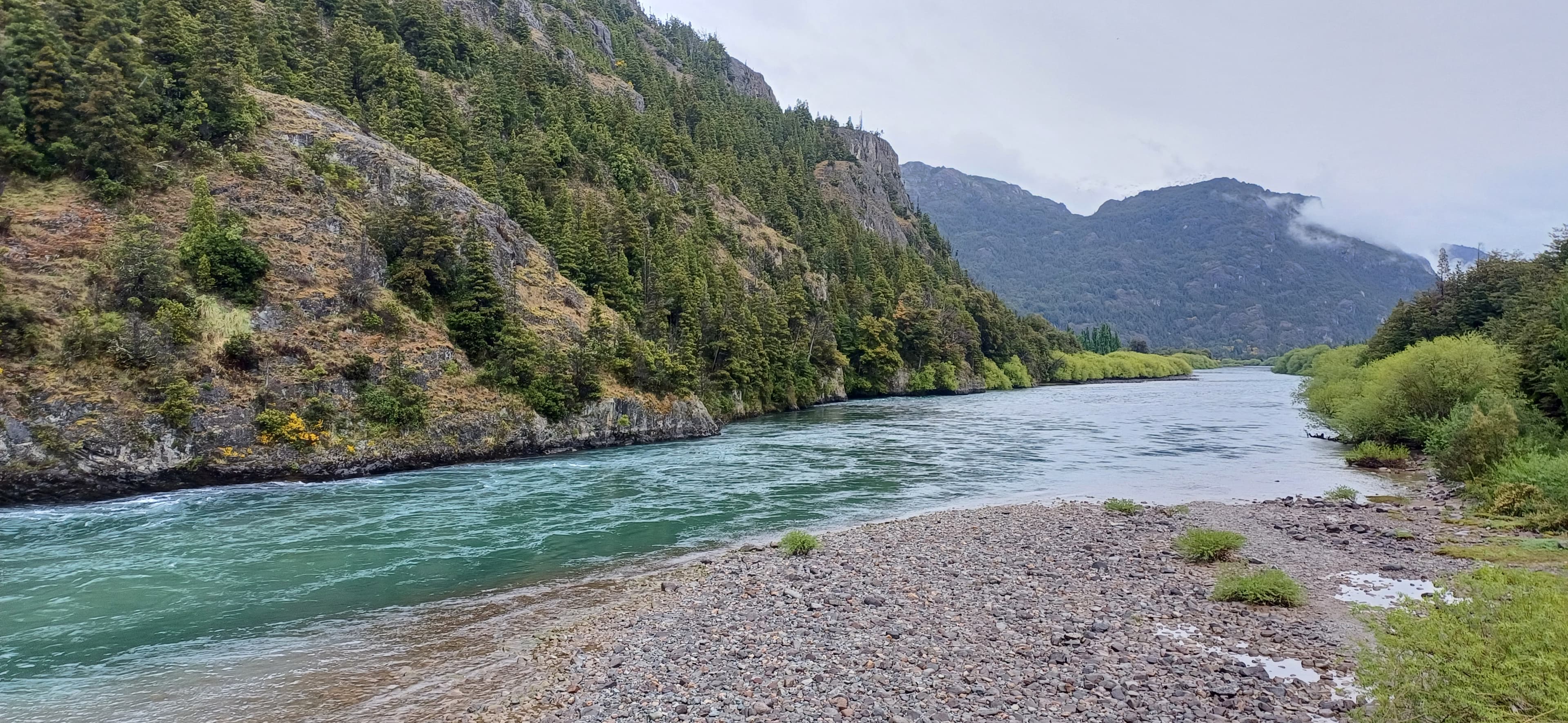 Camino abierto entre bosques y lagos patagónicos