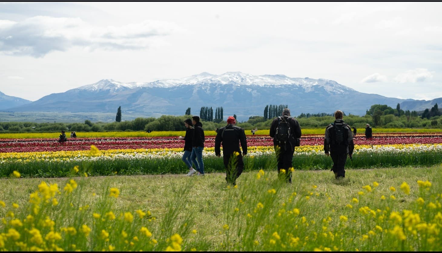 Riders avanzando por un camino de ripio en Patagonia