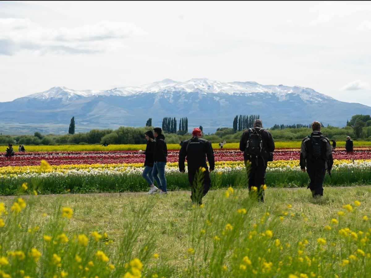 Camino patagónico de ripio para una expedición a medida
